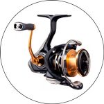Best Spinning Reel for Trout Fishing 2023