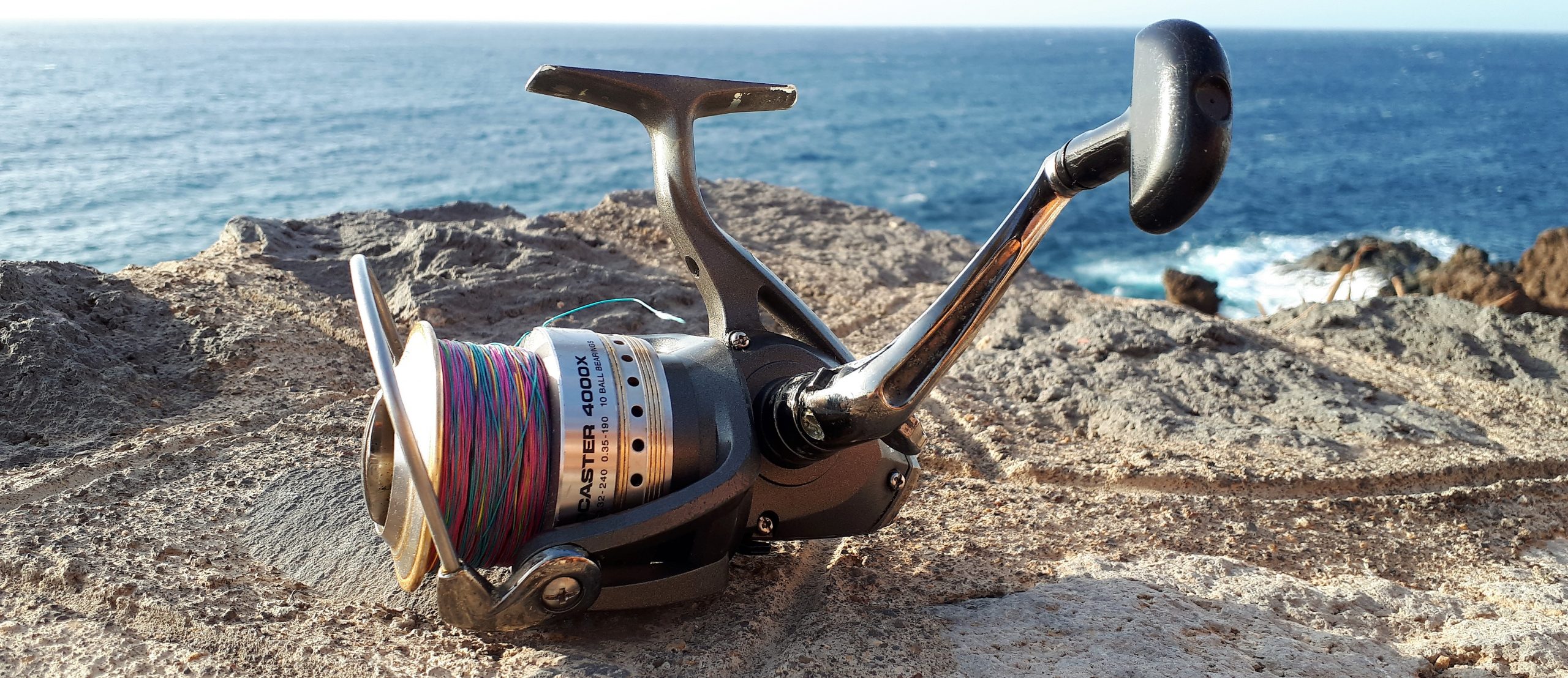 DAIWA PROCASTER 4000X Reel