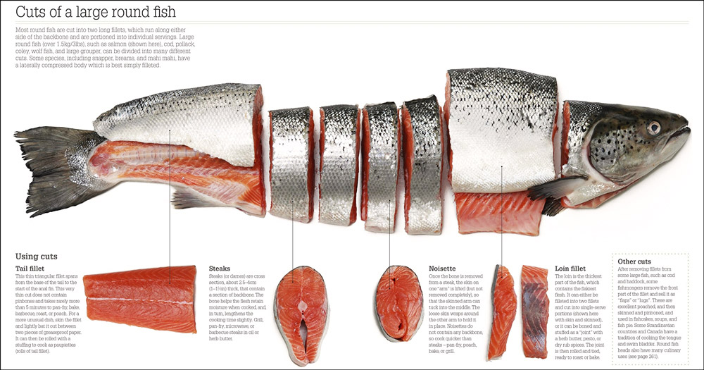 Filleting Fish Made Simple