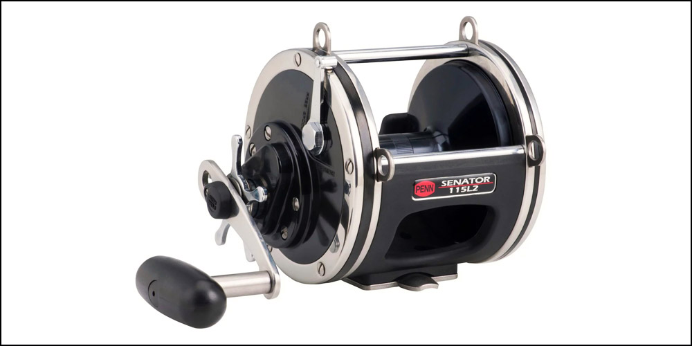 Penn Senator Salmon Fishing Reel
