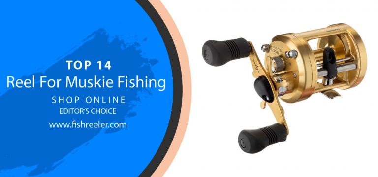 Muskie Madness: A Comprehensive Guide to Choosing the Perfect Reel