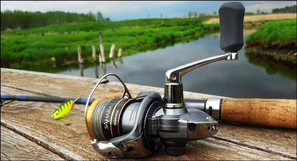 Shimano Sahara reel for lake fishing