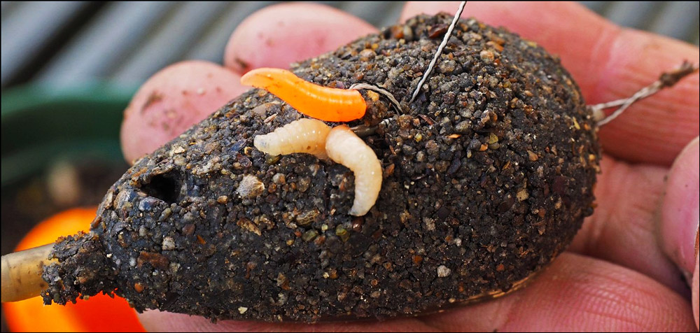 feeder fishing setup