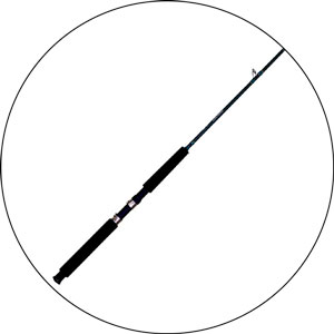 Read more about the article Best 10ft Fishing Rod 2023
