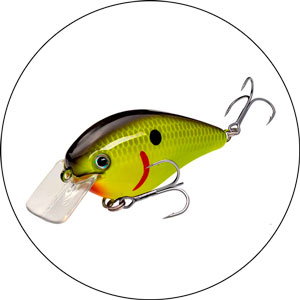 Best Fishing Lures For Snook