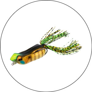 Read more about the article Best Frog Lures For Bass Fishing 2023