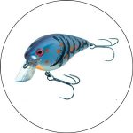 Best Lures For Beach Fishing