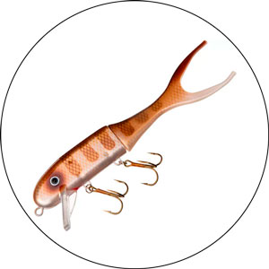 Read more about the article Best Lures For Dock Fishing 2023