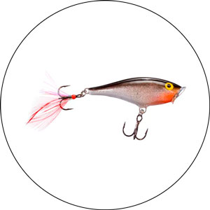 Read more about the article Best Lures For Jetty Fishing 2023
