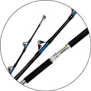Read more about the article Best Rods For Shark Fishing