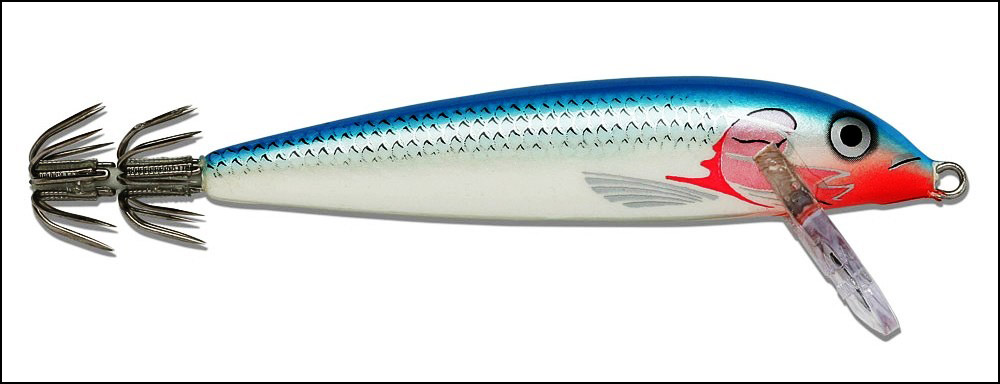 Fishing Bait Fish for Catching Squid