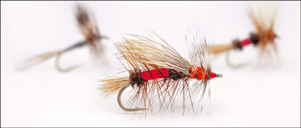 Fishing Hook for Salmon