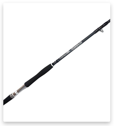 Fitzgerald Fishing Stunner HD Saltwater Spinning Rods