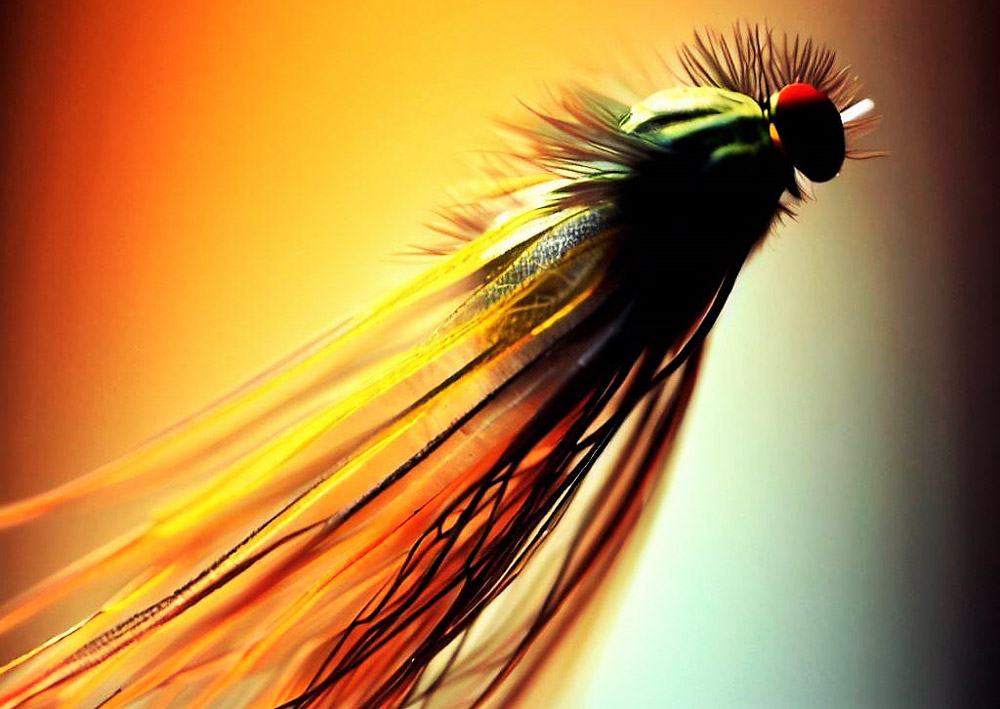 Fly Fishing Files