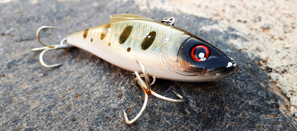 Noeby lures for jetty fishing