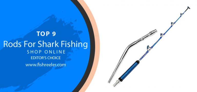 Hooked on Sharks? Get the Best Fishing Rods on the Market