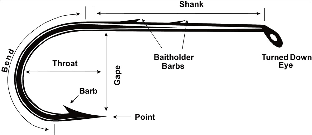 Structure of a Fishing Hook