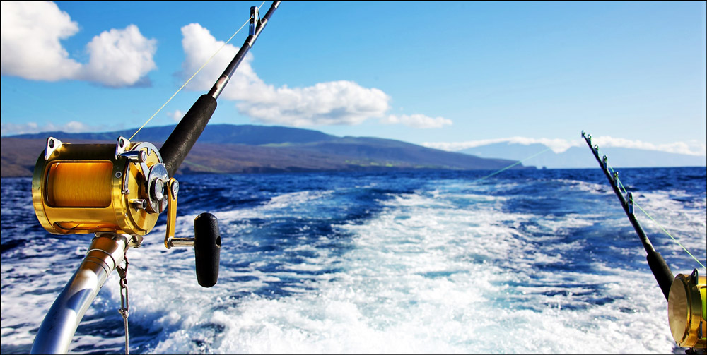 tuna fishing rods gear
