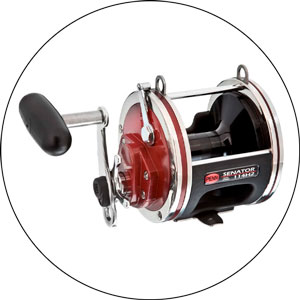 Read more about the article Best Reels For Shark Fishing 2023