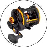 Best Reels For Tarpon Fishing: A Comprehensive Guide 2023