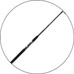 Best Steelhead Fishing Rod