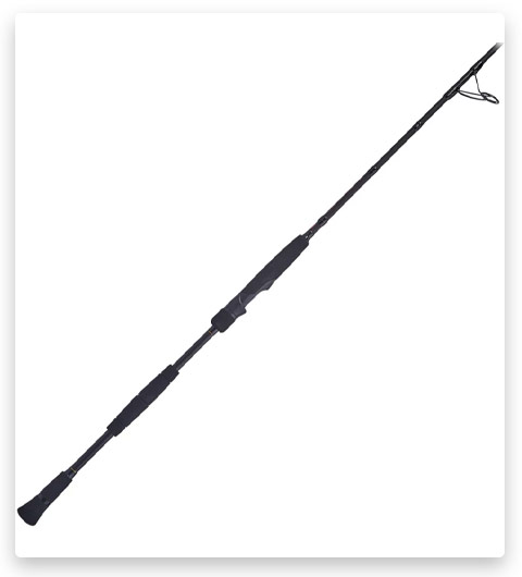 PENN Battalion II Spinning Rod