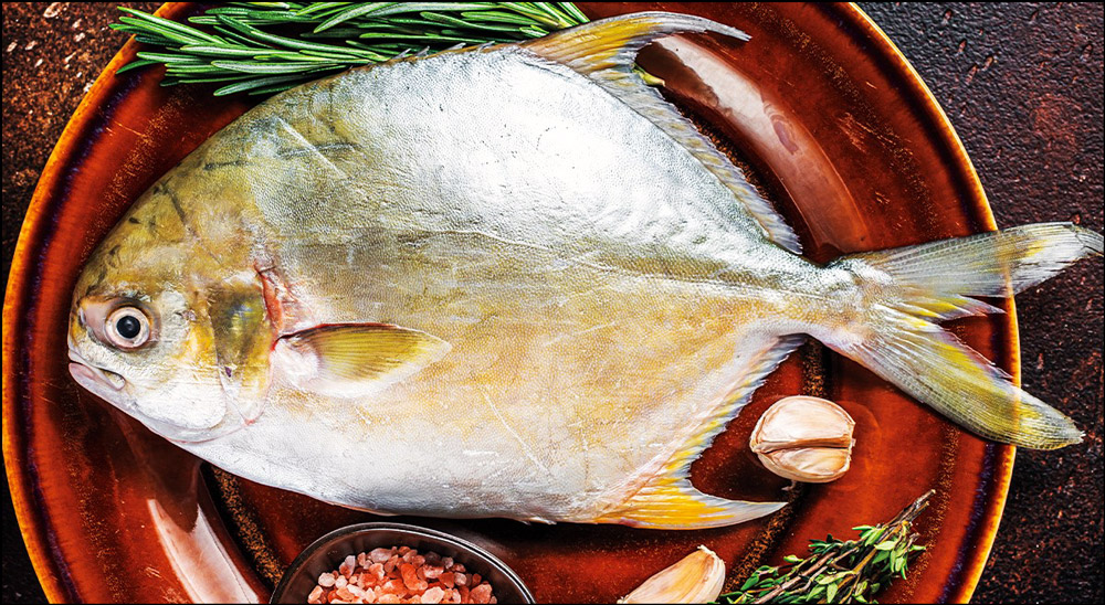 Pompano Surf Fishing Rod