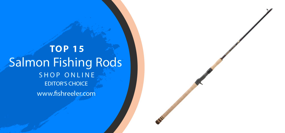 TOP 15 Salmon Fishing Rods For The Money